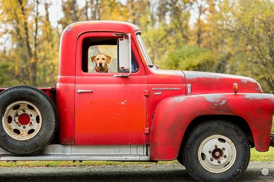 Father's Day Antique Truck Show Tiashoke Farm & Store